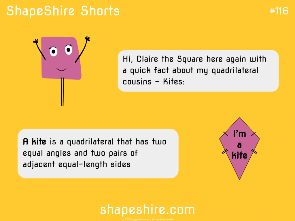 ShapeShire Shorts No. 116