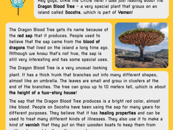 Dragon Blood Tree